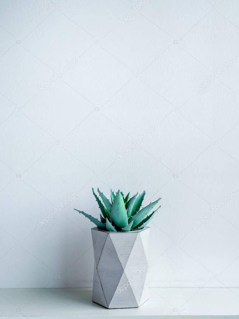 Concrete pot. Modern geometric concrete planter.