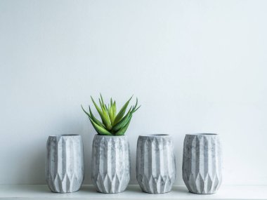 Beton saksı. Modern geometrik beton ekici.