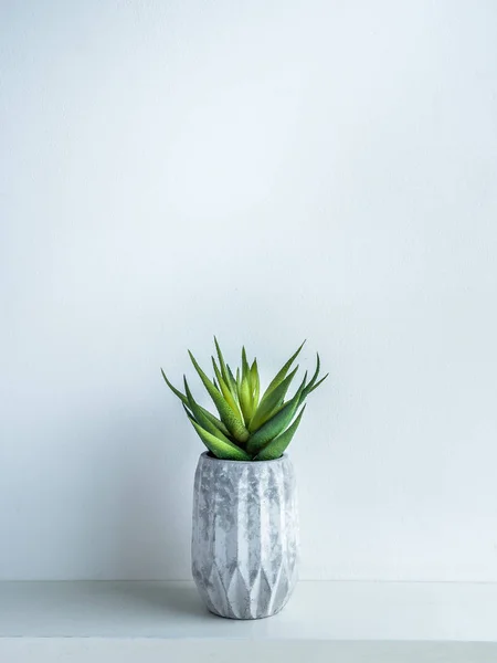 Concrete pot. Modern geometric concrete planter.