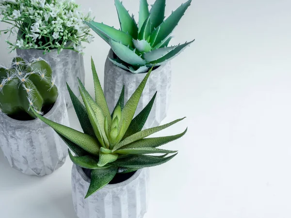 Concrete pot. Modern geometric concrete planter.