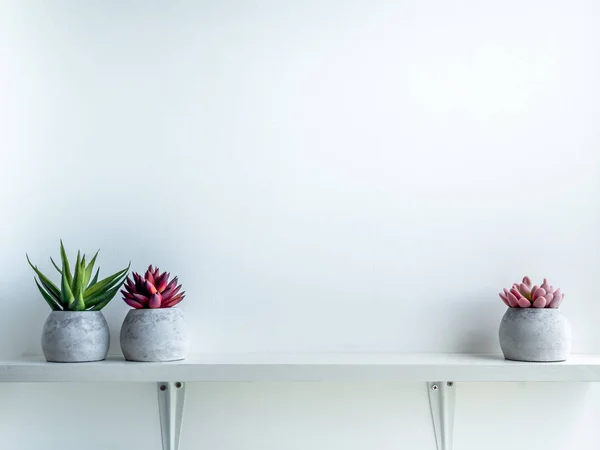 Concrete pot. Modern geometric concrete planter. — Stock Photo, Image