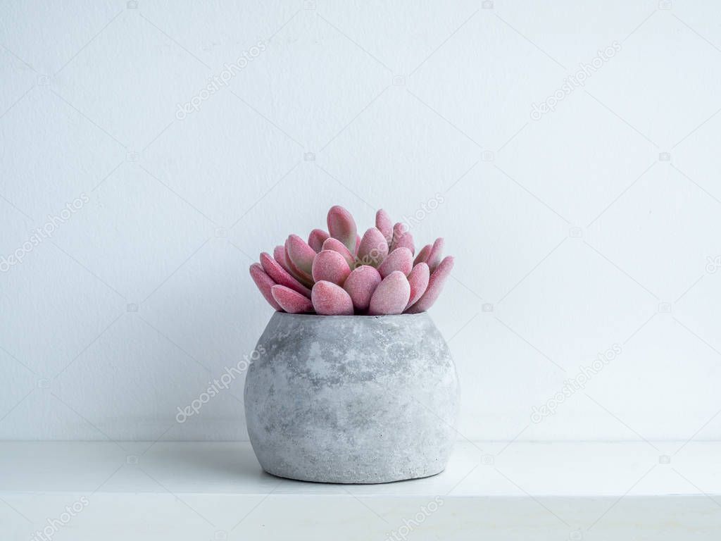 Concrete pot. Modern geometric concrete planter.