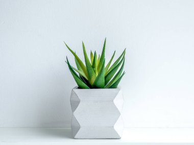 Beton saksı. Modern geometrik beton ekici.