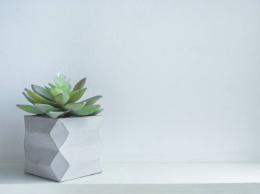 Beton saksı. Modern geometrik beton ekici.