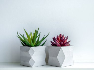 Beton saksı. Modern geometrik beton ekici.