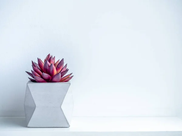 Concrete pot. Modern geometric concrete planter.