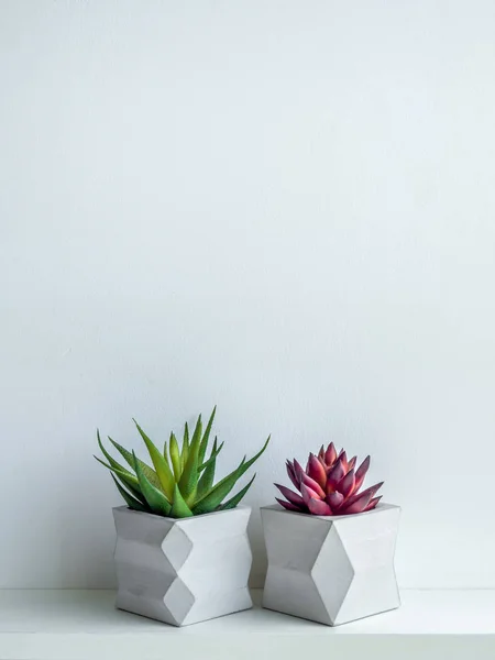 Betong kruka. Modern geometrisk betong planter. — Stockfoto