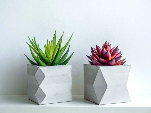 Betonnen pot. Moderne geometrische betonnen plantenbak. — Stockfoto