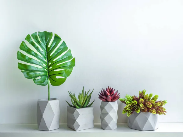 Betong kruka. Modern geometrisk betong planter. — Stockfoto