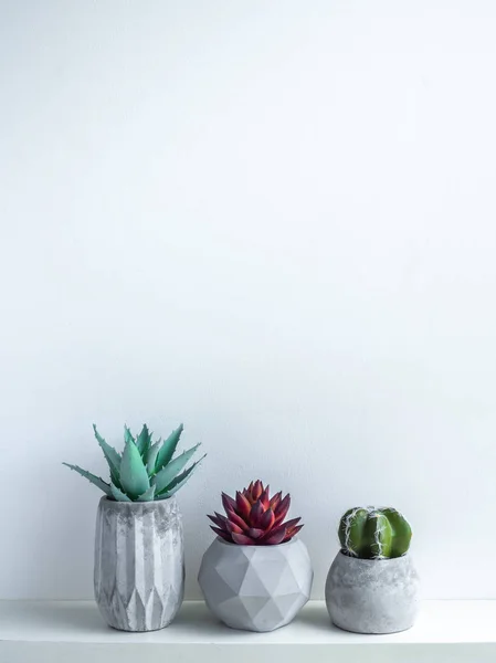 Concrete pot. Modern geometric concrete planter.