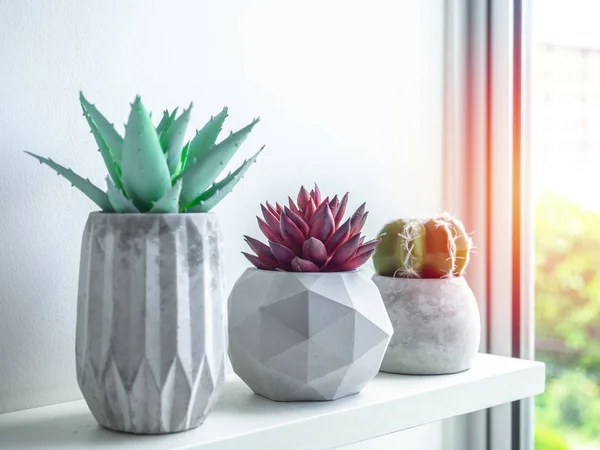 Concrete pot. Modern geometric concrete planter. — Stock Photo, Image