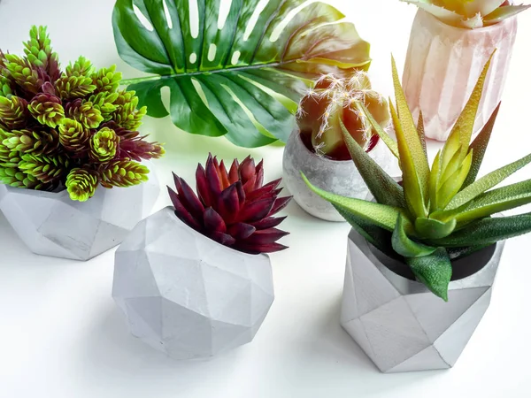 Betong kruka. Modern geometrisk betong planter. — Stockfoto