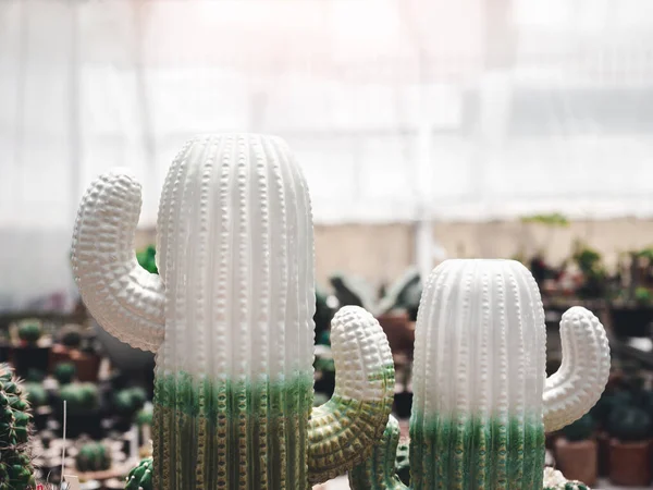 Due Modelli Ceramica Cactus Bianco Verde Decorazione Casa Pianta Negozio — Foto Stock