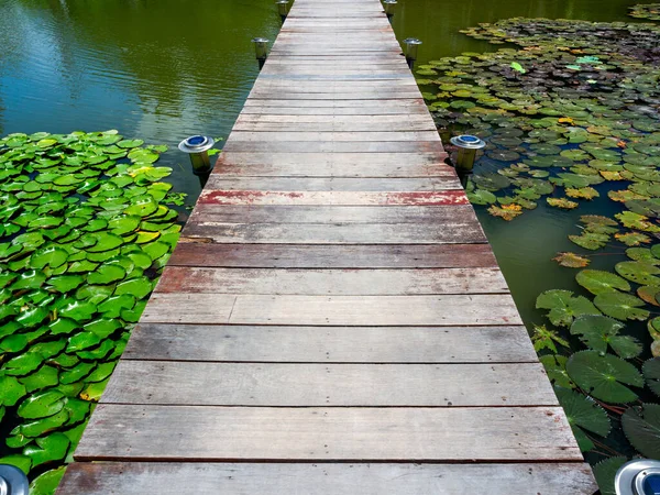 Holzbrücke Lotusteich Die Brücke Besteht Aus Alten Brettern Über Dem — Stockfoto