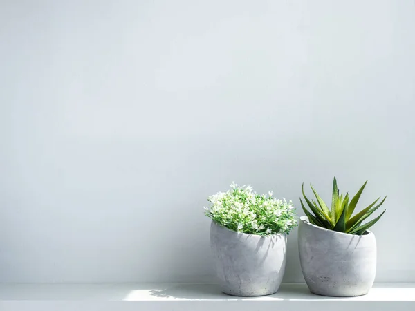 Macetas Hormigón Jardineras Modernas Cemento Geométrico Con Flores Blancas Planta — Foto de Stock