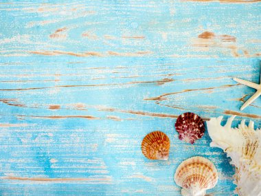 Plaj aksesuarları, çeşitli deniz kabukları, kopyalanmış mavi ahşap tahta üzerinde. Seyahat ve tatil yaz tatili geçmişi, üst manzara.