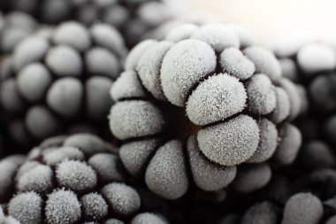 Böğürtlen dondurulmuş böğürtlen yakın plan