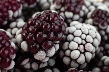 Böğürtlen dondurulmuş böğürtlen yakın plan