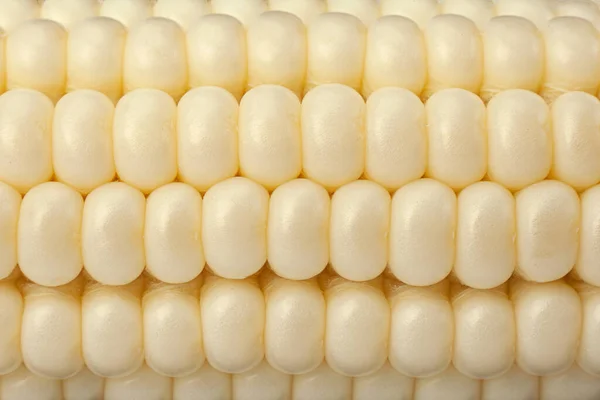 白色甜玉米蔬菜特写玉米种子背景 — 图库照片