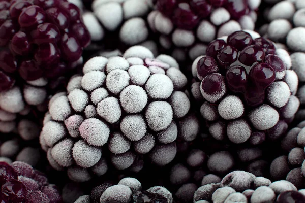 Böğürtlen dondurulmuş böğürtlen yakın plan