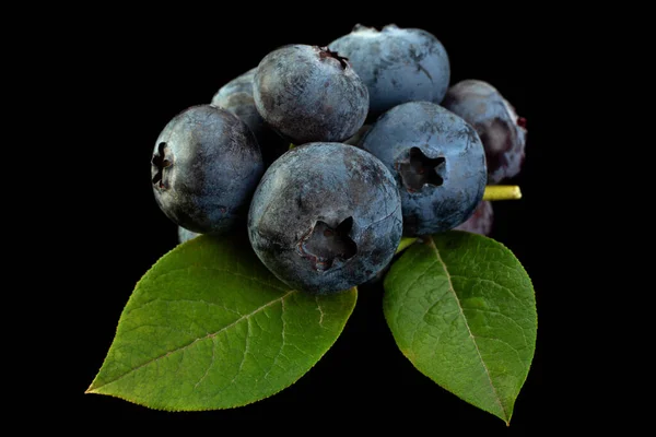 Blueberry Dengan Daun Tertutup Terisolasi Pada Latar Belakang Hitam — Stok Foto