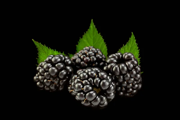 Blackberry Berry Dengan Daun Terisolasi Pada Latar Belakang Hitam Stok Foto