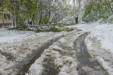 Dnepr şehir beklenmedik Nisan kar fırtınası sonra Bahar manzara, Ukrayna