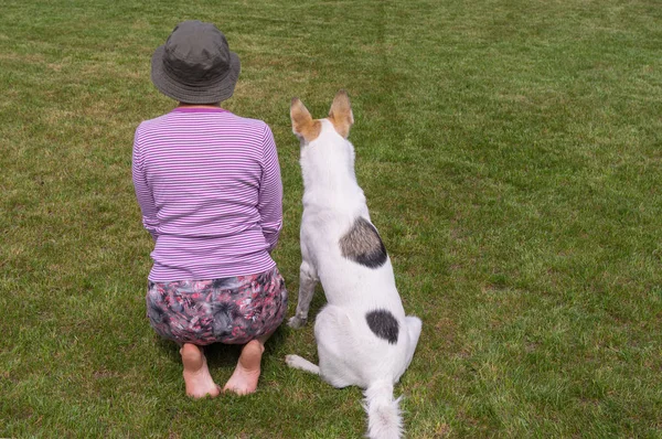 Maestro Hembra Muestra Joven Perro Cómo Realizar Sit Comando —  Fotos de Stock