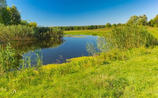 Pictorial Summer Landscape Small River Merla Poltavskaya Oblast Ukraine — Stock Photo, Image