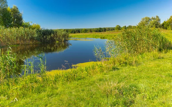 Resimsel yaz yatay, küçük nehir Merla, Poltavskaya oblast, Ukrayna