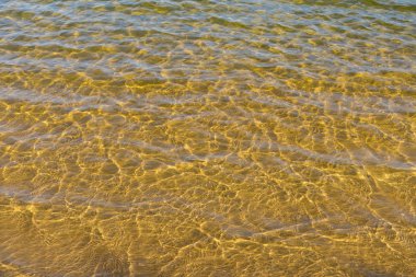 Hareket bir yaz nehir Dnepr Ukrayna su