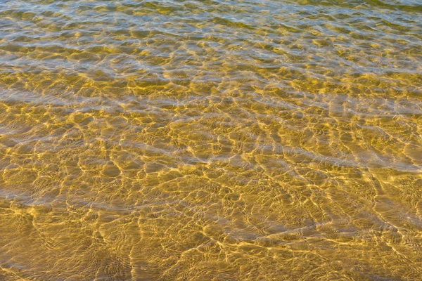 Hareket bir yaz nehir Dnepr Ukrayna su