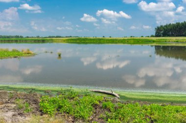 Yaz yatay, göl Kozachy Liman Chernetchina Köyü, Ukrayna
