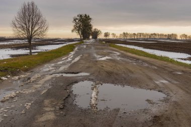 Uzak boş yola ile Merkezi Ukrayna geç sonbaharda manzara