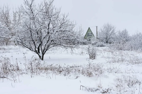 Украинский Крестьянский Дом Потерялся Снегу Зимний Сезон — стоковое фото