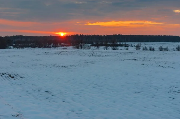 Sonnenuntergang Über Einem Landwirtschaftlichen Feld Der Wintersaison Gebiet Sumskaja Ukraine — Stockfoto