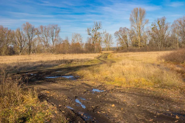 Podzimní Krajina Polní Cestě Přes Louku Vody Poltavskaya Oblasti Západní — Stock fotografie