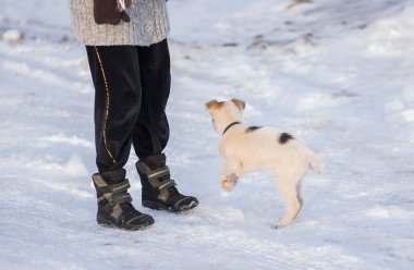 Master ile bir kar kaplı kış sokakta oynarken küçük karışık doğurmak köpek yavrusu