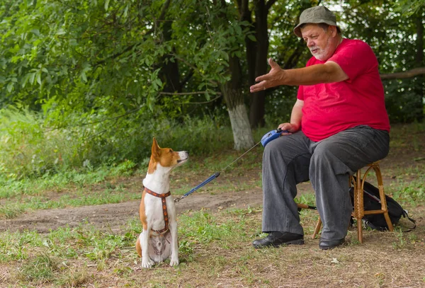 老人与他的四条腿的朋友 Basenji 谈话坐在一个凳子在夏天公园 — 图库照片