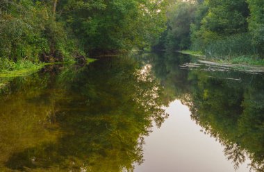 Durgun Vorskla yaz sezonu sonunda küçük bir Ukraynalı Nehri üzerinde