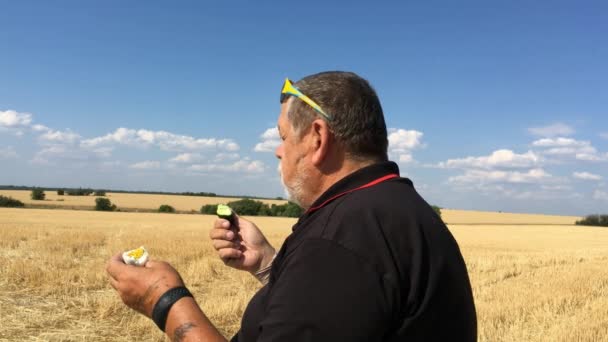 Oekraïense Senior Boer Komkommer Gekookt Eten Zittend Buiten Tegen Geoogste — Stockvideo