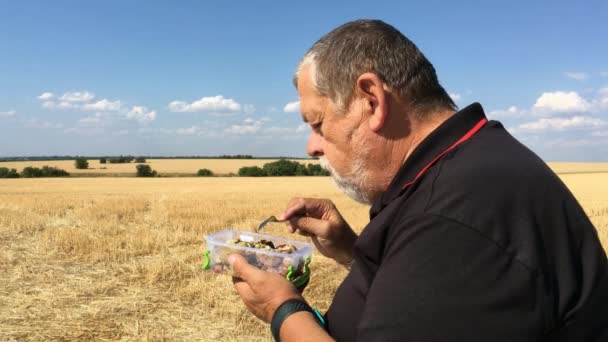 Ukrainian Senior Farmer Eating Steamed Vegetables Sitting Outdoor Harvested Wheat — Stock Video