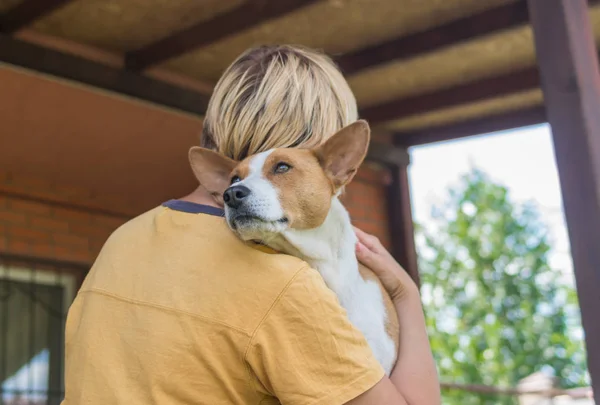 Basenji 狗的肖像在拥抱它的可爱的主人在阳台休息 — 图库照片