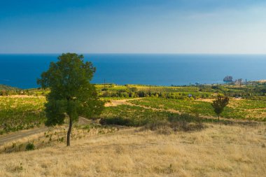 Kırım yarımadası beldesinde Gurzuf ilçesi yakınlarında Karadeniz kıyısında görüntülemek