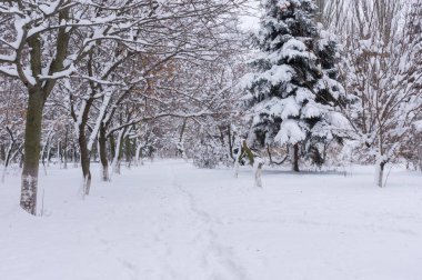 Kış park yolundaki ile manzara