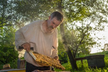 Ukrayna köylü kendi arı bahçede zor çalışma portre 