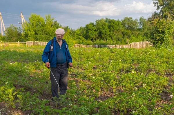 Chłop Ukraiński Przetwarzania Plantacji Ziemniaka Płynem Owadobójczym Colorado Chrząszcz Kontroli — Zdjęcie stockowe