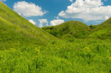 Yeşil otlar merkezi Ukrayna ile büyümüş dağ geçidi üzerinde mavi bulutlu gökyüzü, Haziran yatay