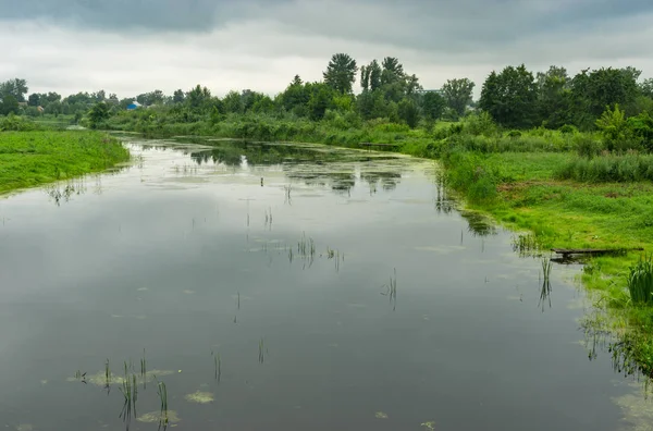Yaz kasvetli yatay, Kotelva nehir Kotelva yerleşim, Poltavskaya oblast, Ukrayna