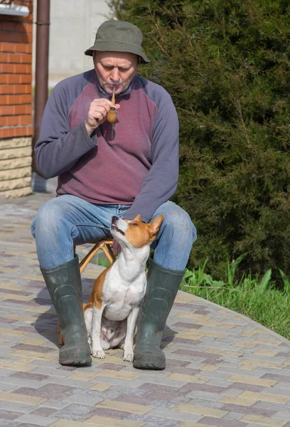 小狗在花园里休息时表现出对主人吸烟的不满 — 图库照片